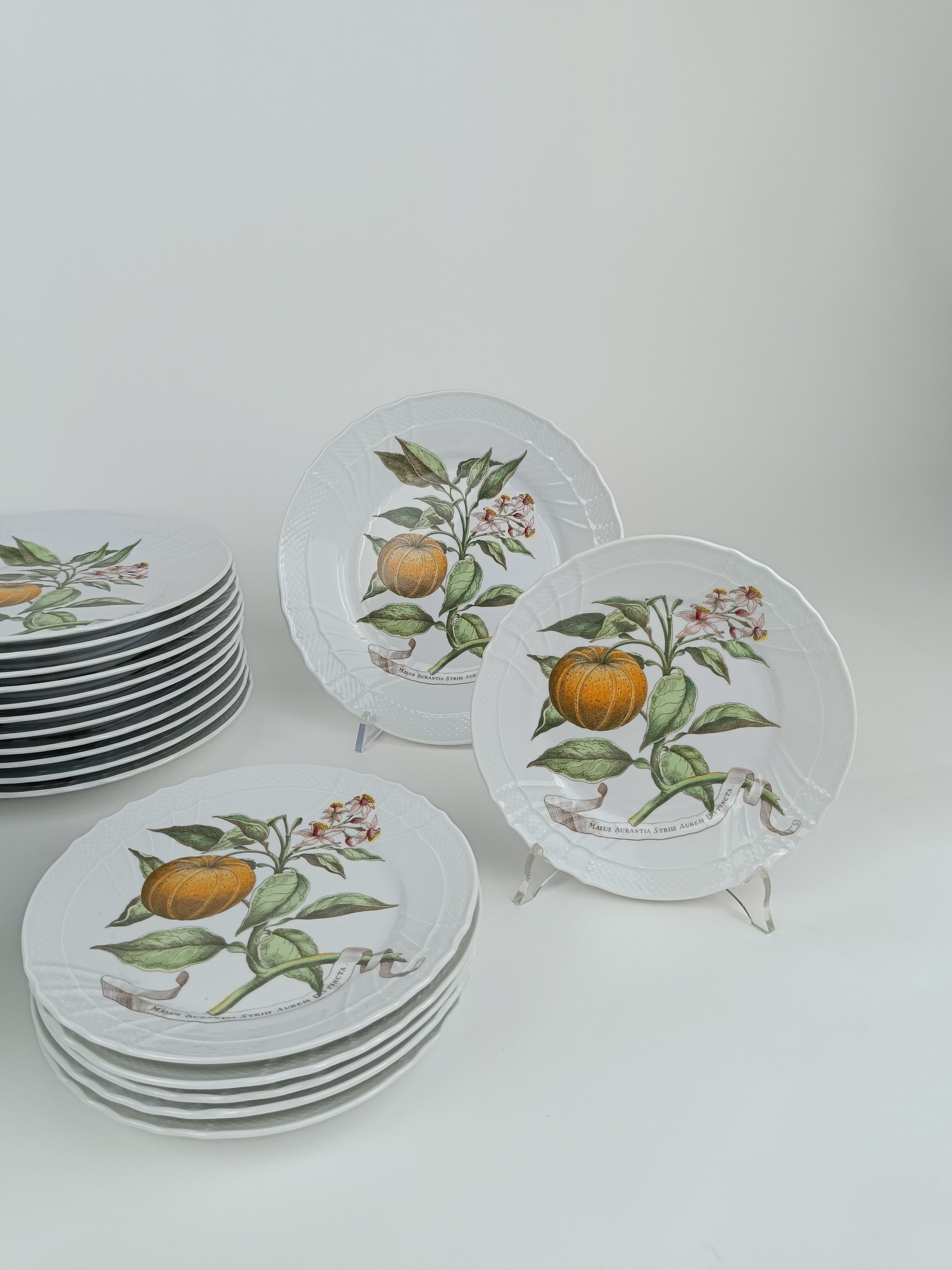 Richard Ginori China Dinner Service with a botanical print by Munting Abraham For Sale 6