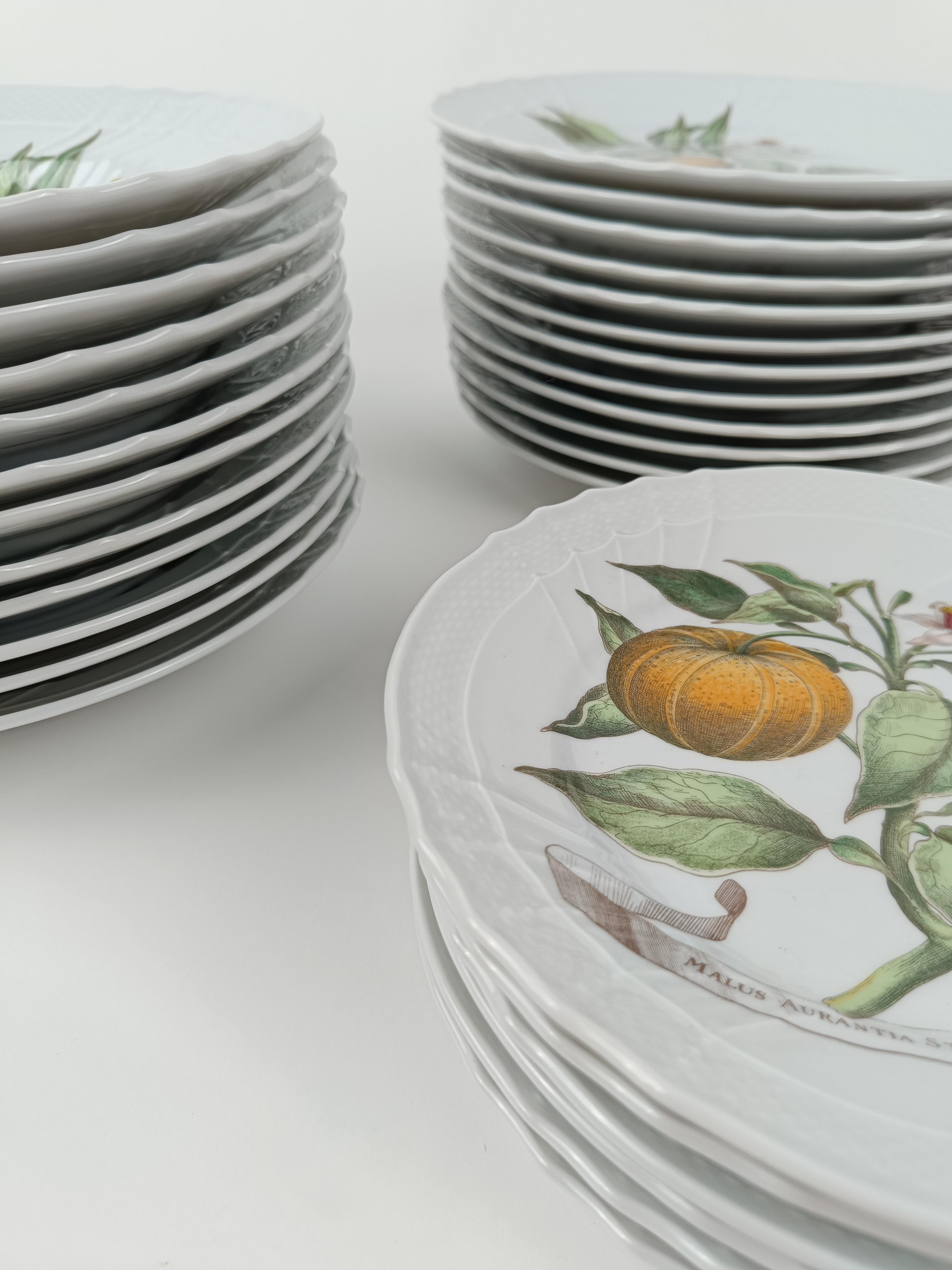 Richard Ginori China Dinner Service with a botanical print by Munting Abraham For Sale 7