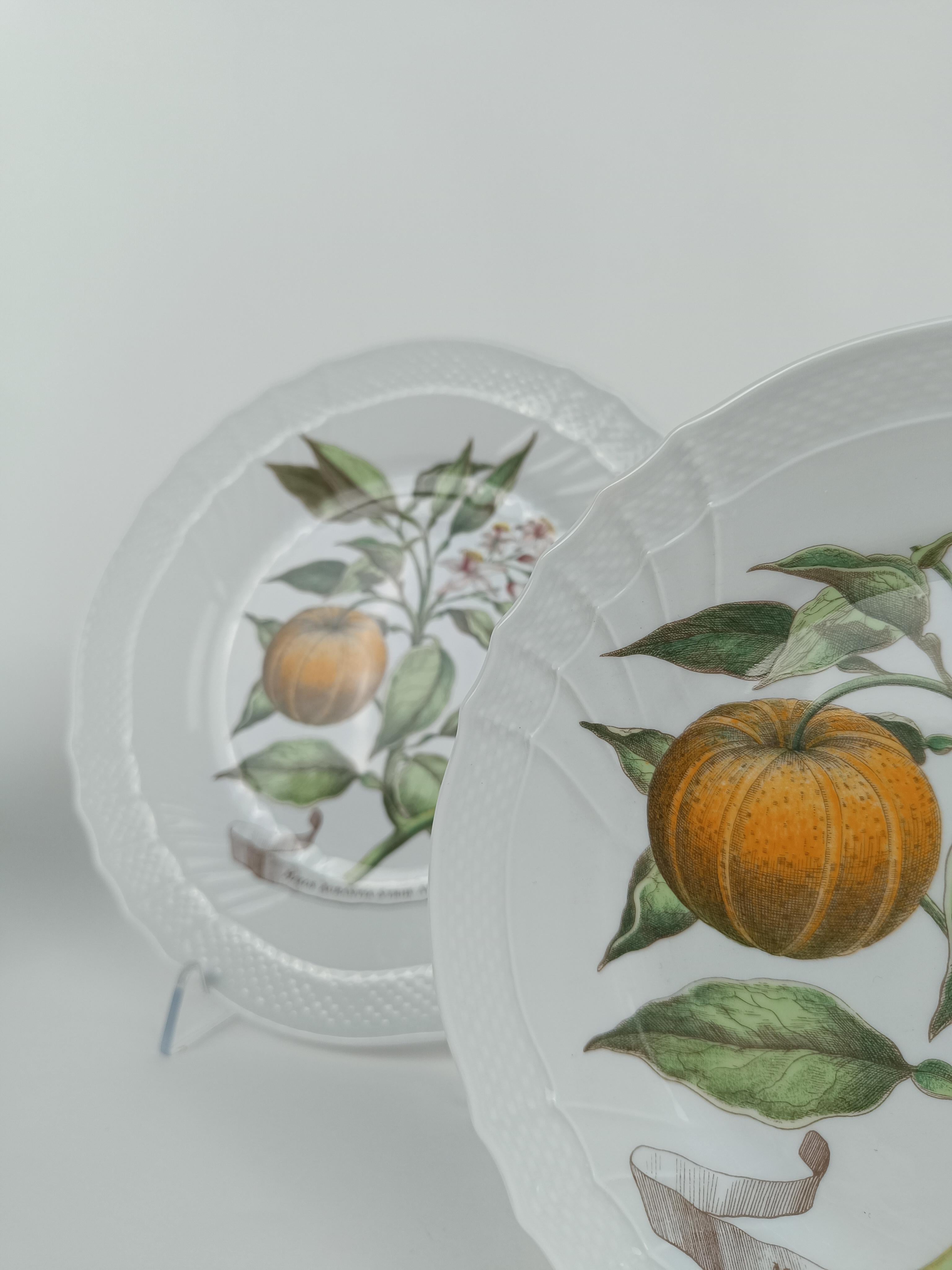 Richard Ginori China Dinner Service with a botanical print by Munting Abraham For Sale 9