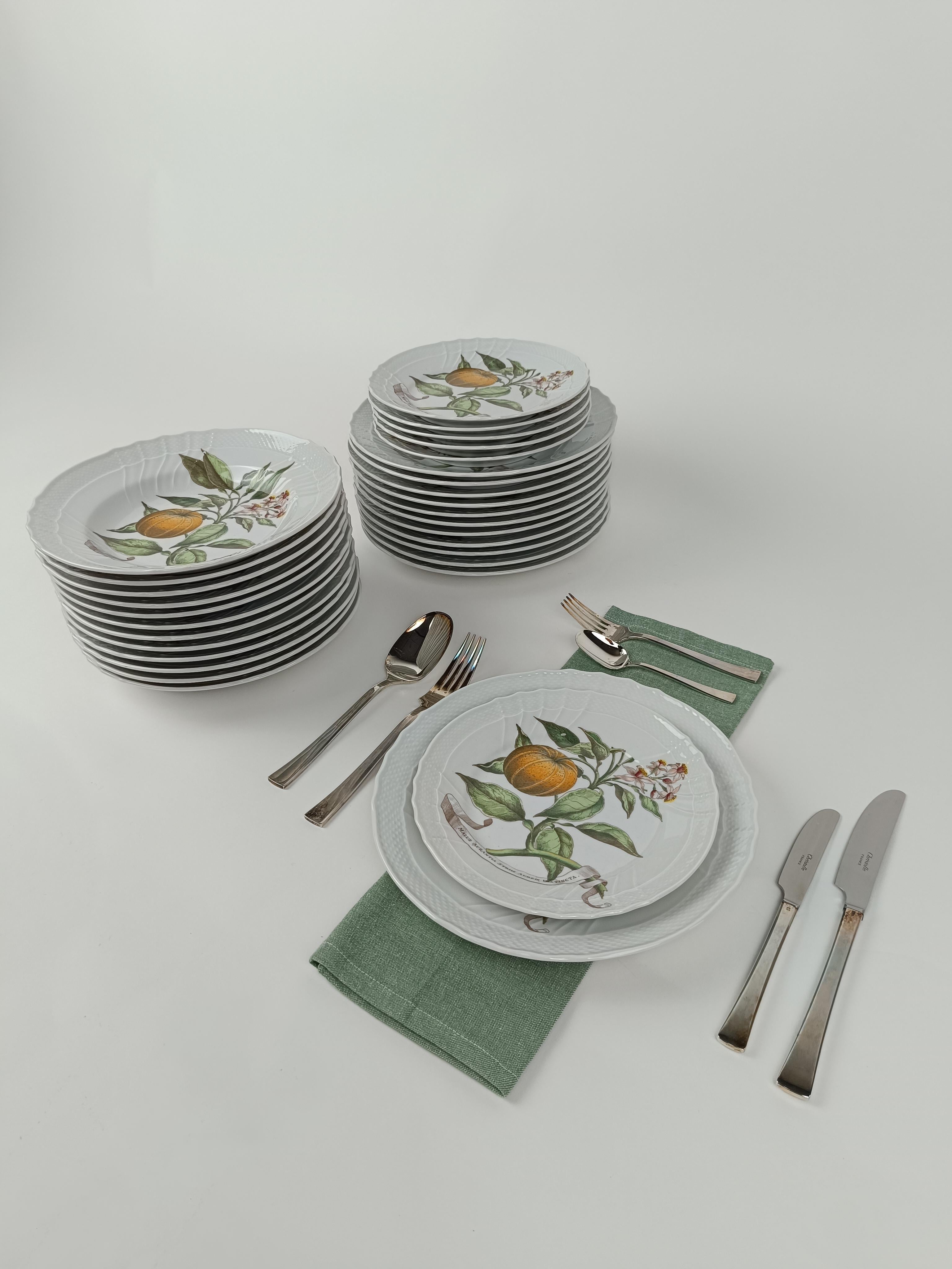Italian Richard Ginori China Dinner Service with a botanical print by Munting Abraham For Sale