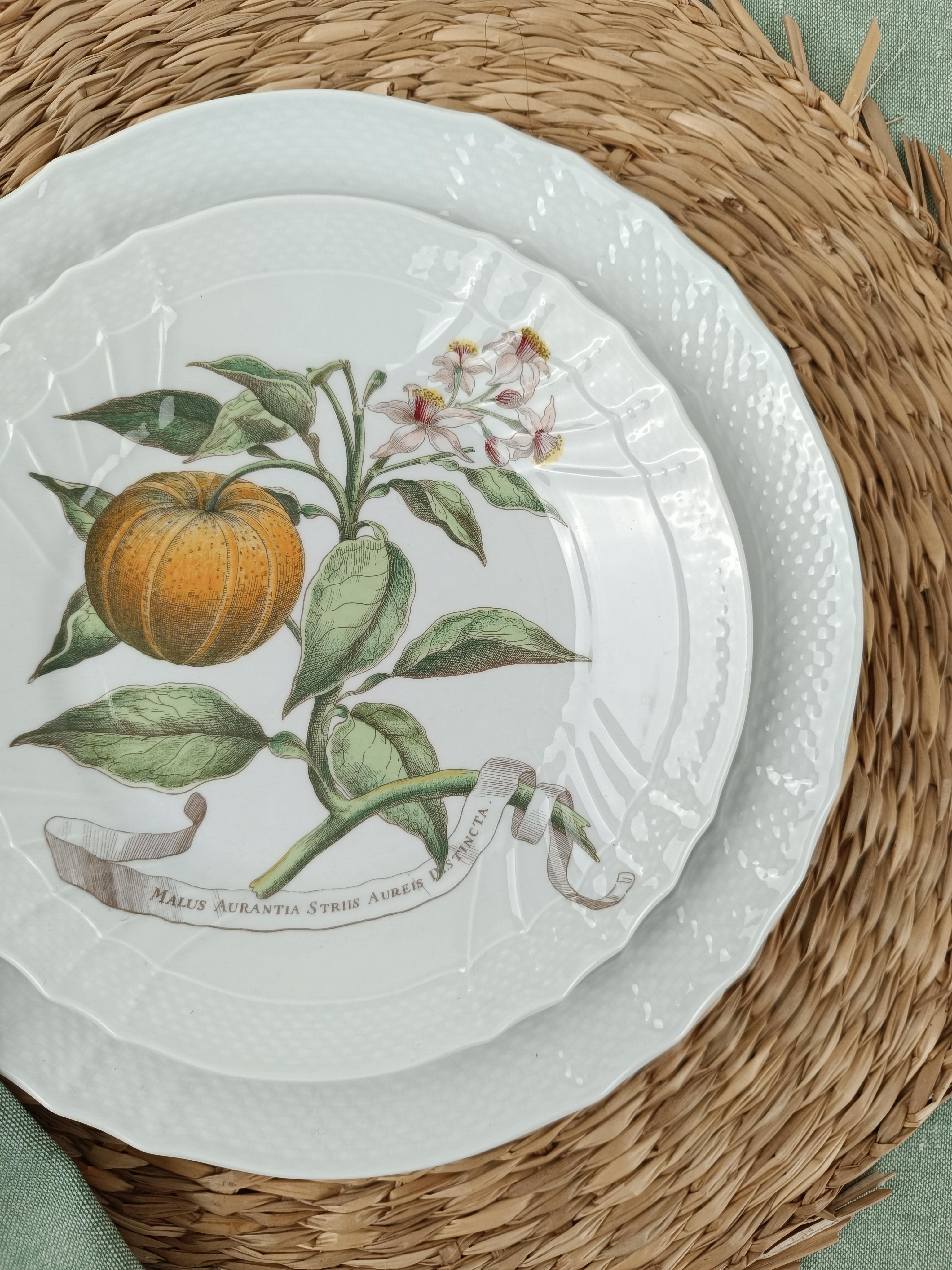 Porcelain Richard Ginori China Dinner Service with a botanical print by Munting Abraham For Sale