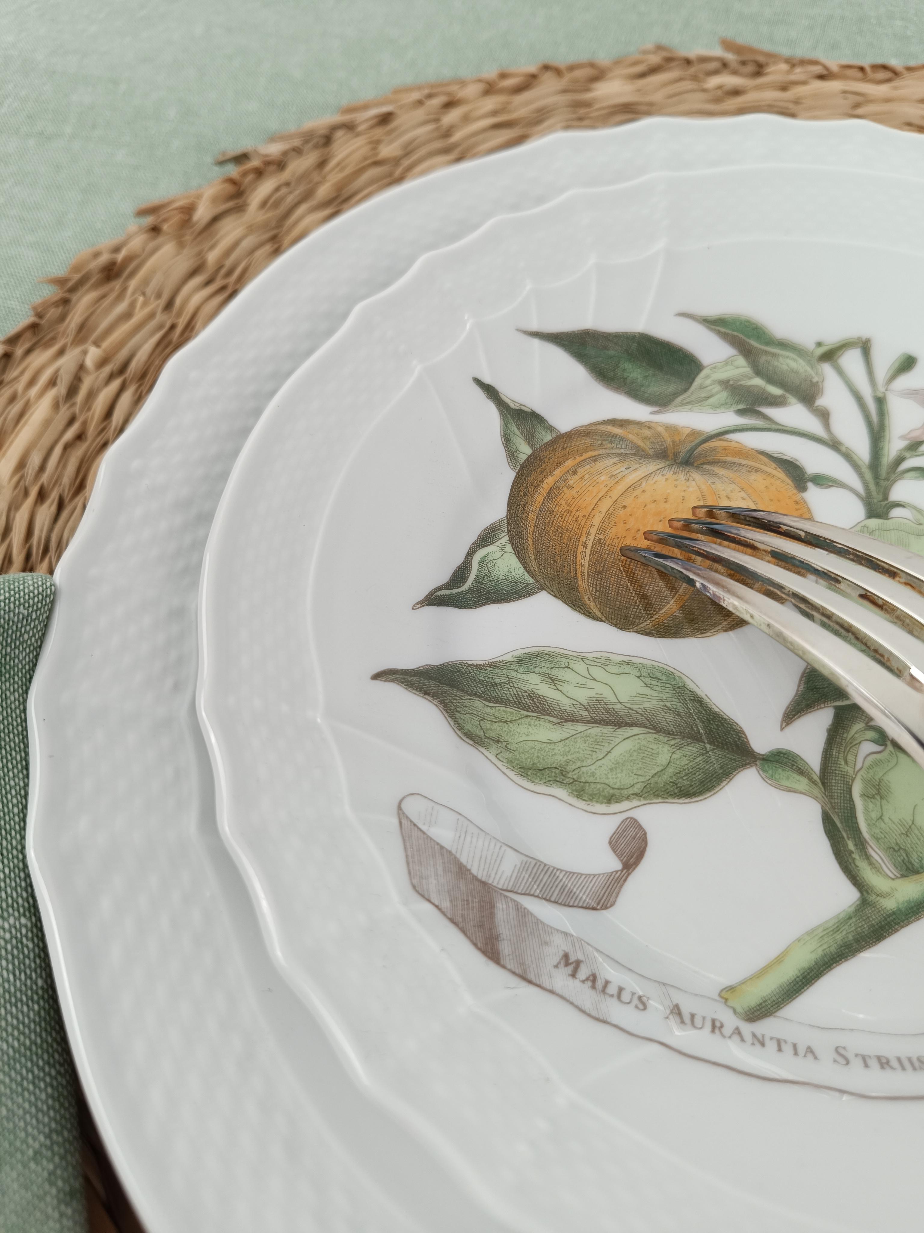 Richard Ginori China Dinner Service with a botanical print by Munting Abraham For Sale 1