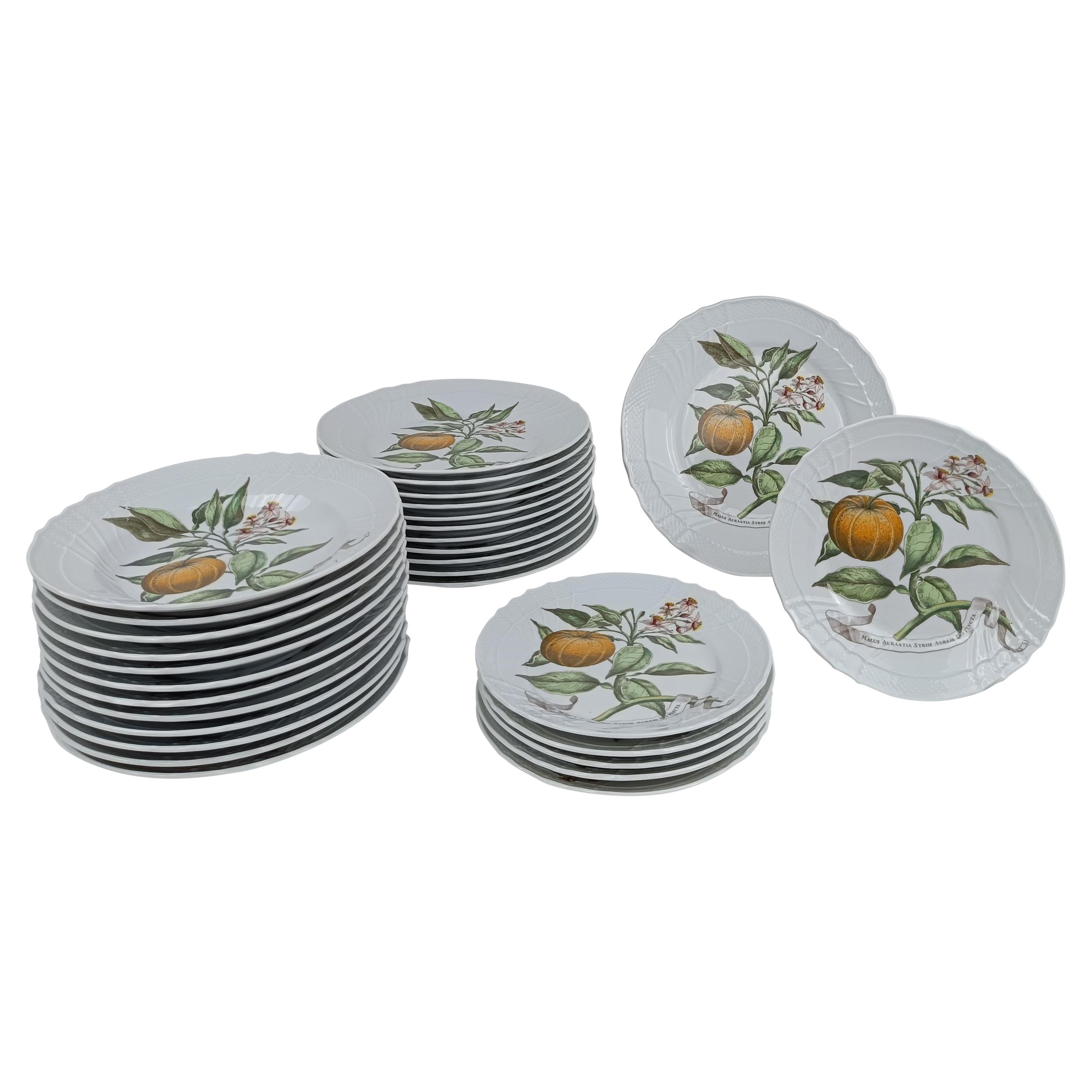 Richard Ginori China Dinner Service with a botanical print by Munting Abraham