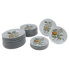 Vintage Richard Ginori China Dinner Service with a botanical print by Munting Abraham