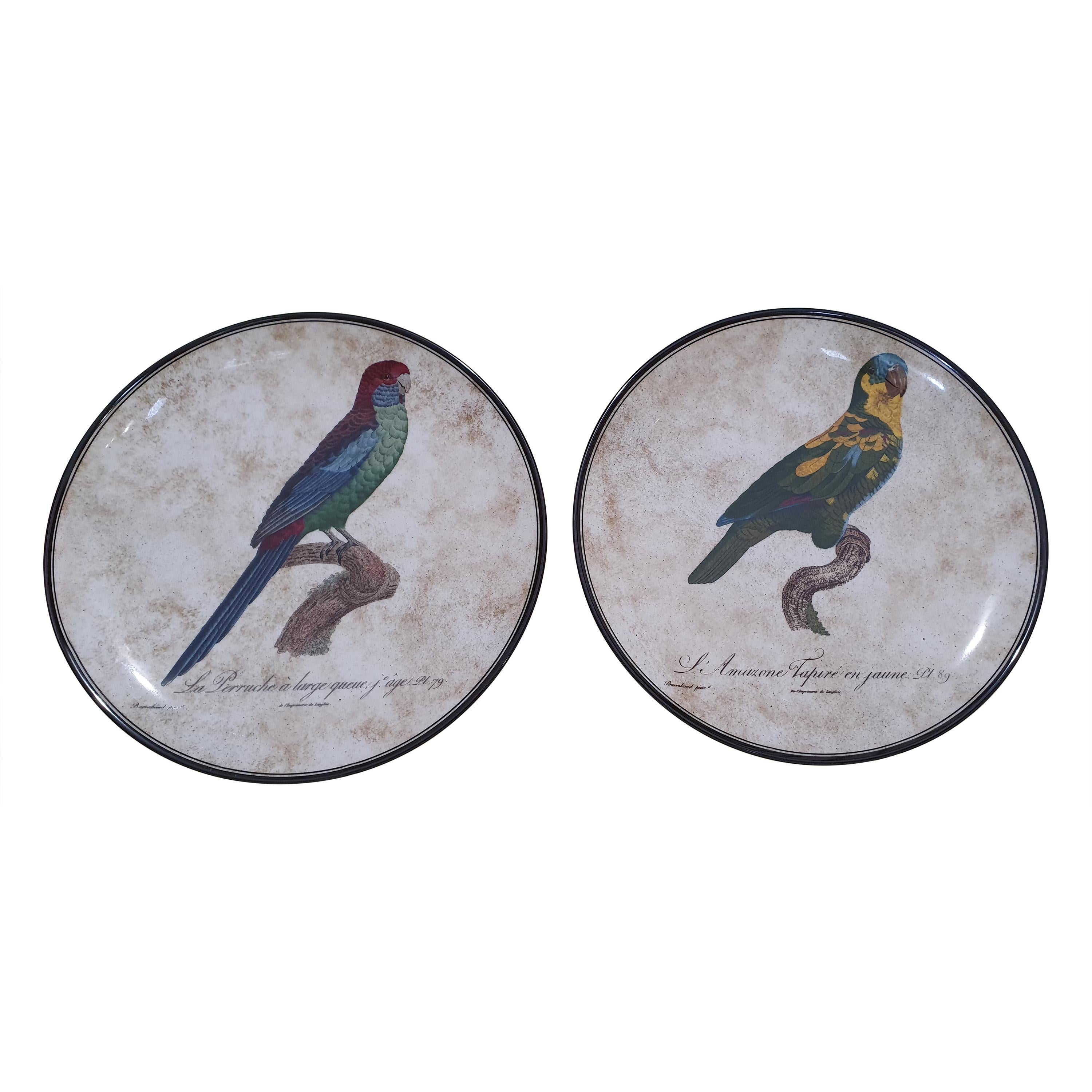 Richard Ginori Porcelain "Perroquets" Set of Two Wall Plates, Italy, 2019
