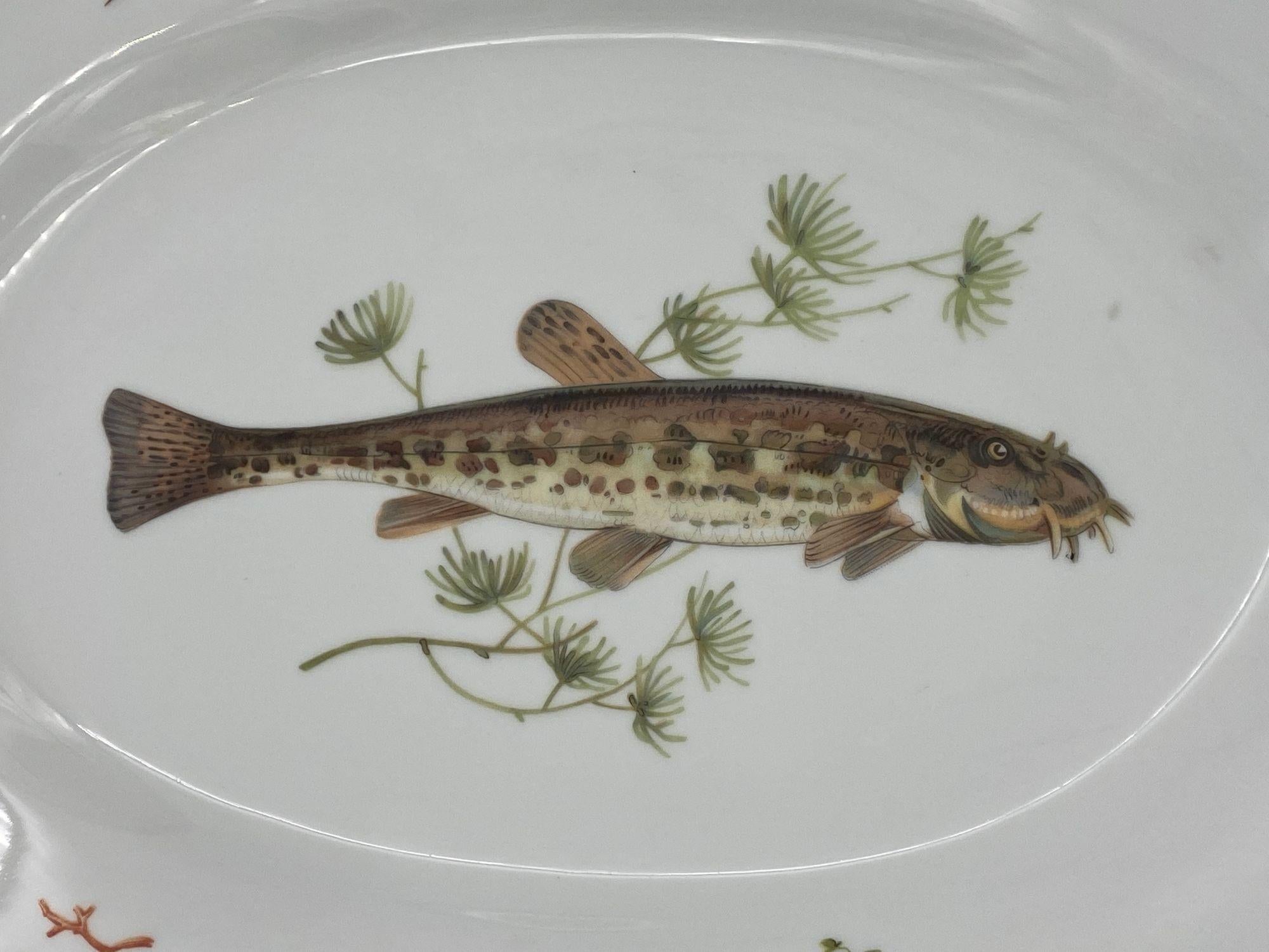 Richard Ginori Quenelle Oval Platter Porcelain Hand Painted Catfish Plate In Excellent Condition In Van Nuys, CA