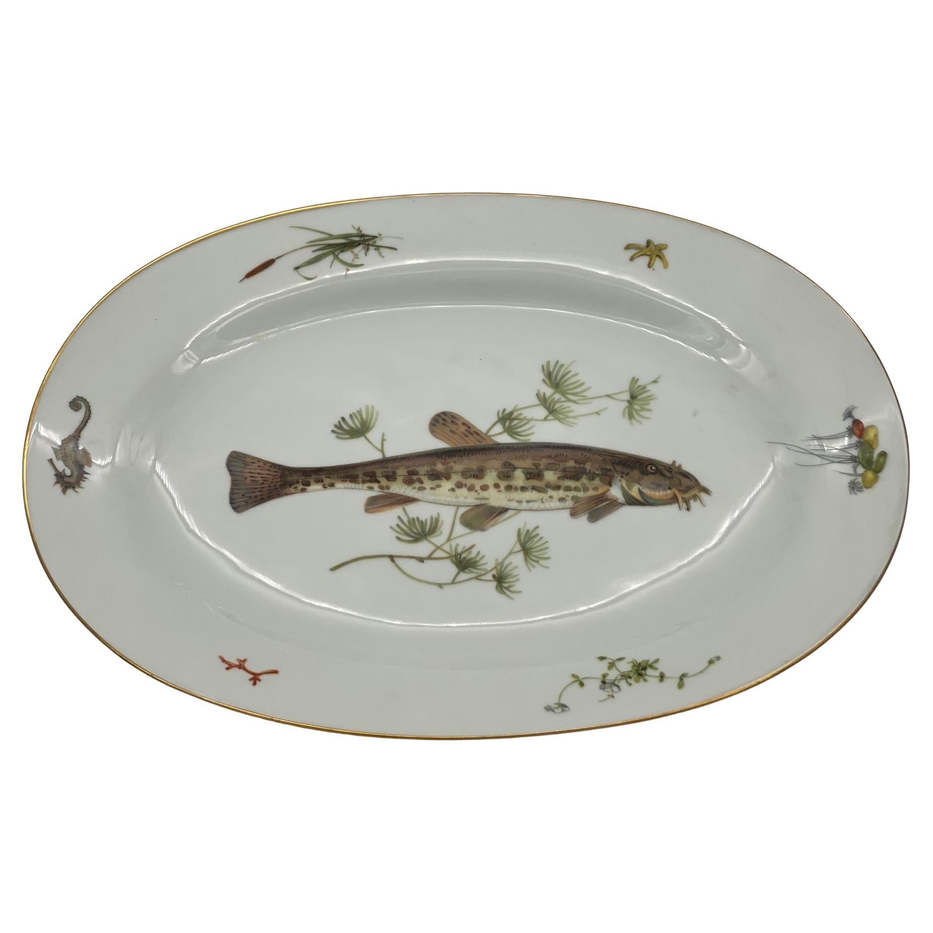Richard Ginori Quenelle Oval Platter Porcelain Hand Painted Catfish Plate