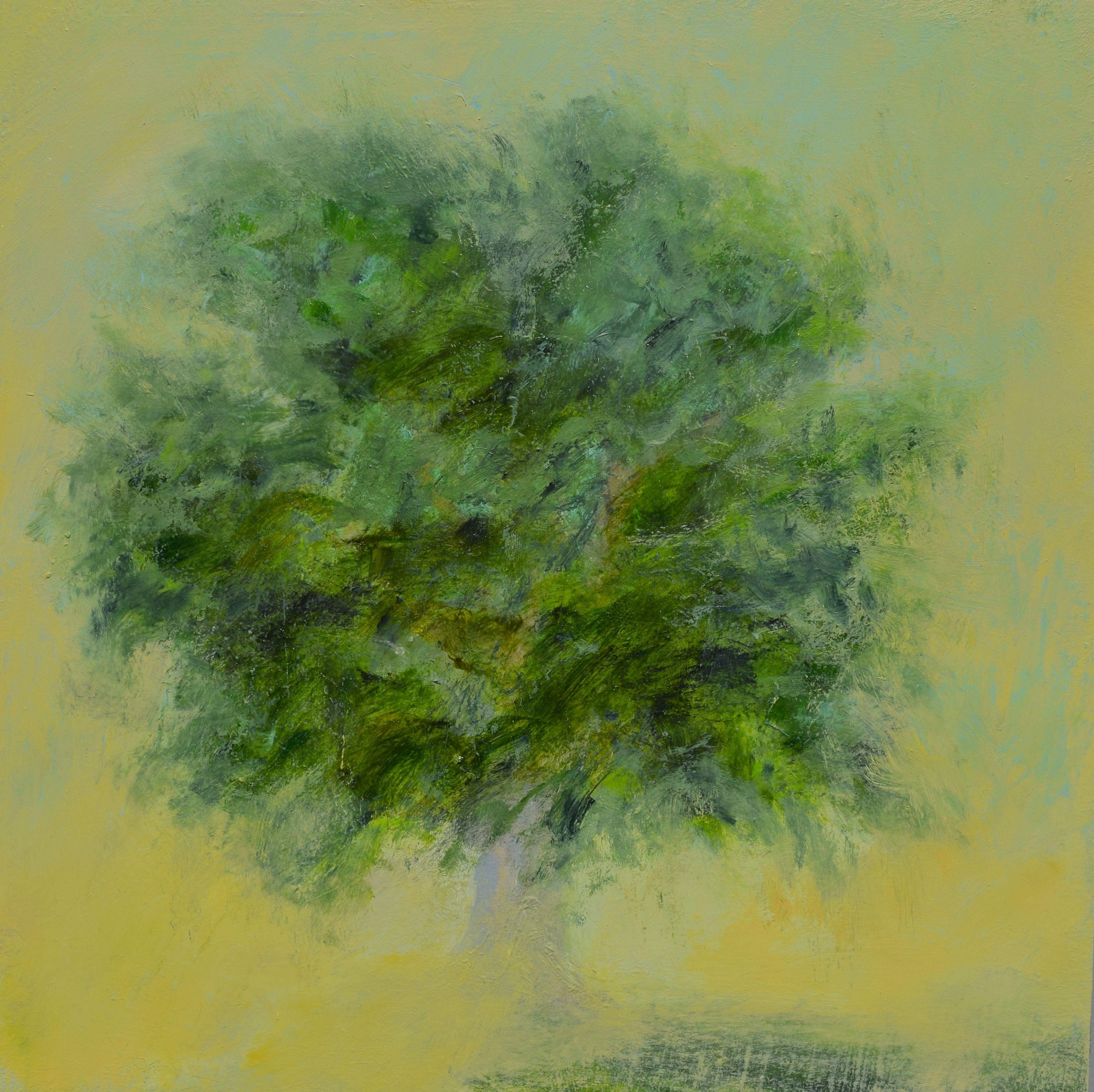 Trees are amazing living things! They are majestic, comforting, imperial, thriving parts of our landscape and nature. I have spent the last year or so just painting trees, and am aware that many are dream trees, ghost trees trees that i remember