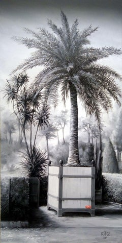 Dream of a palm tree