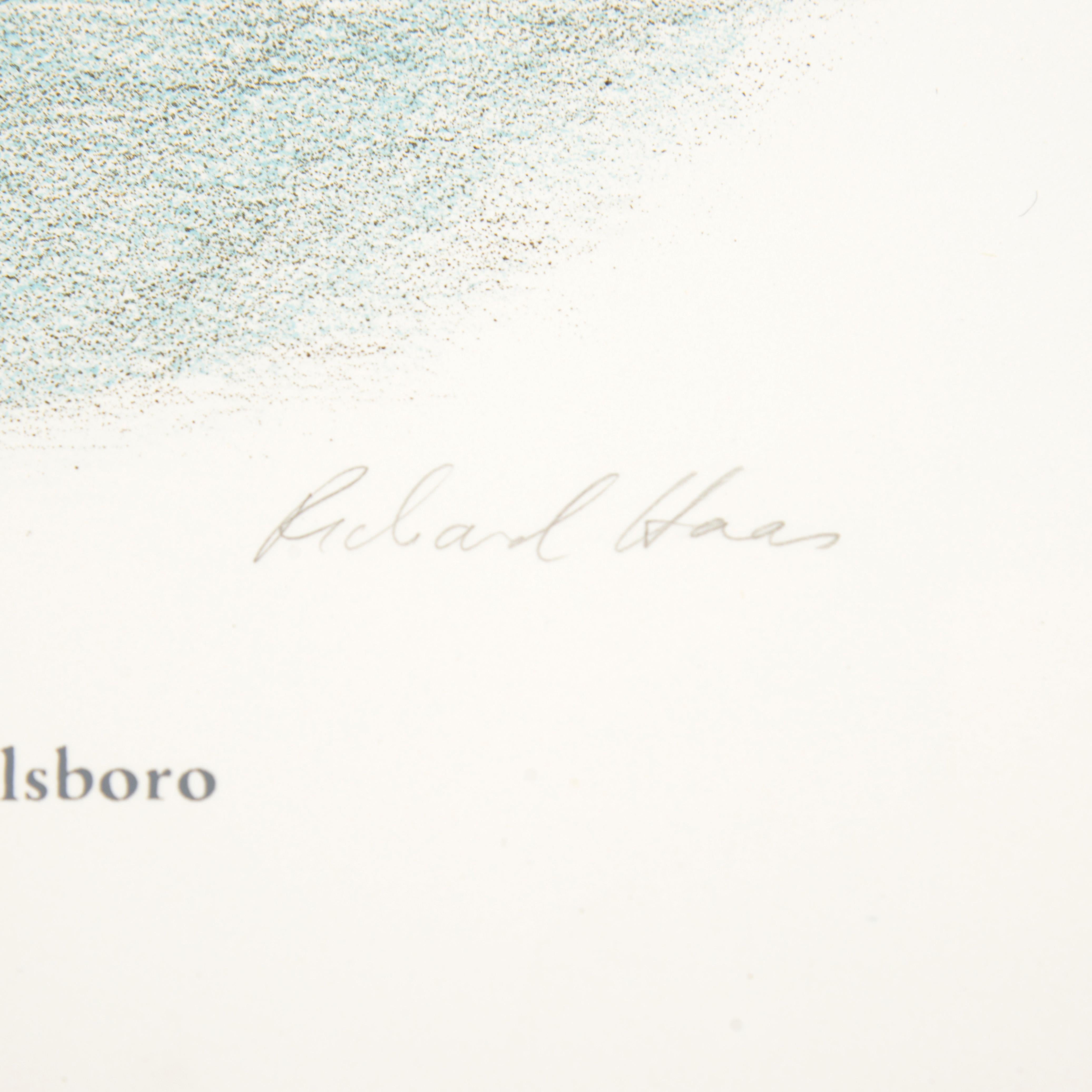 Richard Haas Litografia COURTHOUSES in vendita 2