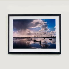 Baker's Fen, Wicken Fen, Cambridgeshire - landscape nature photograph