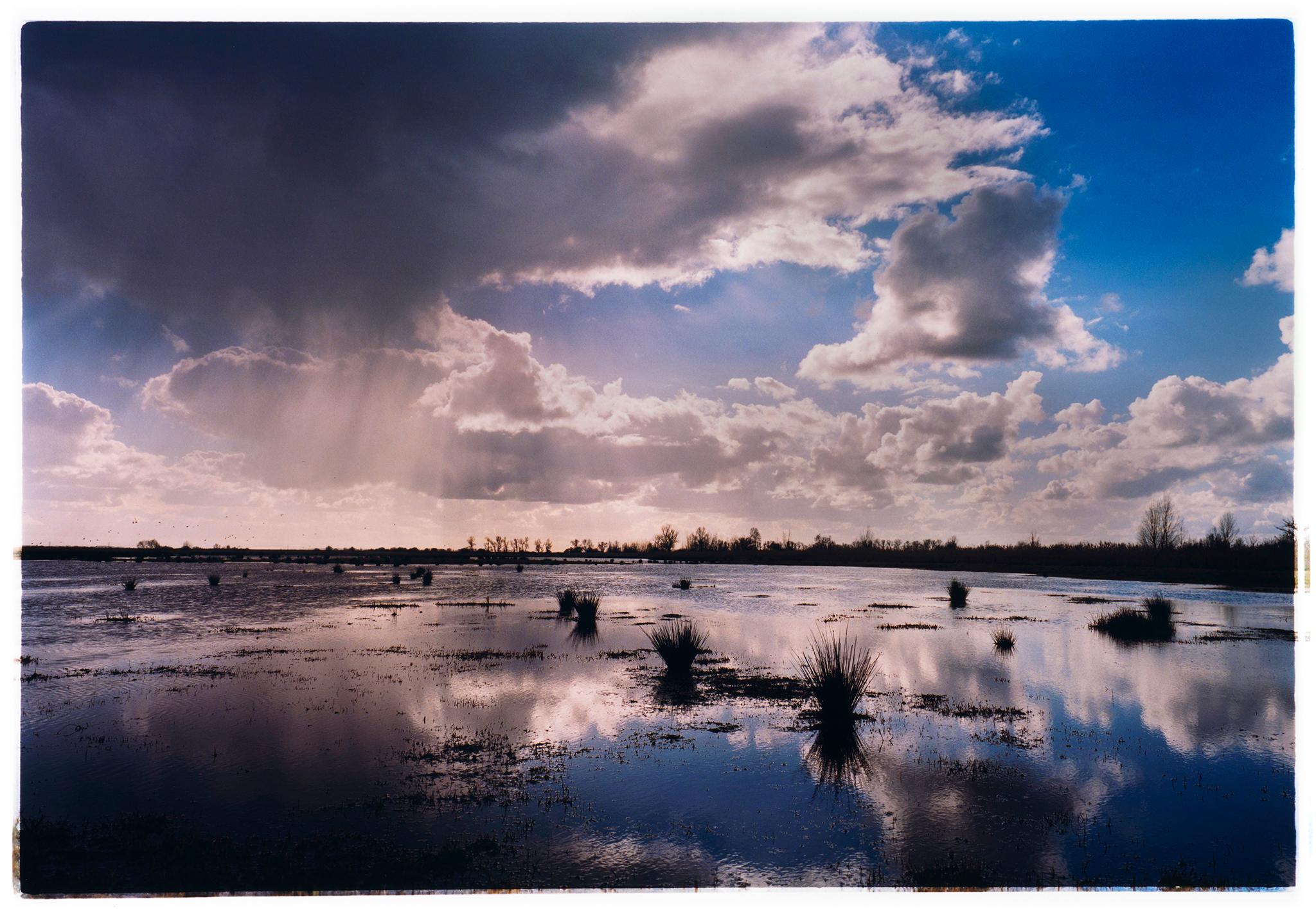 Richard Heeps Landscape Photograph - Baker's Fen, Wicken Fen, Cambridgeshire - landscape nature photograph