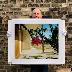 Bougainvillea, North Shore Motel, Salton Sea, California - Floral Photograph