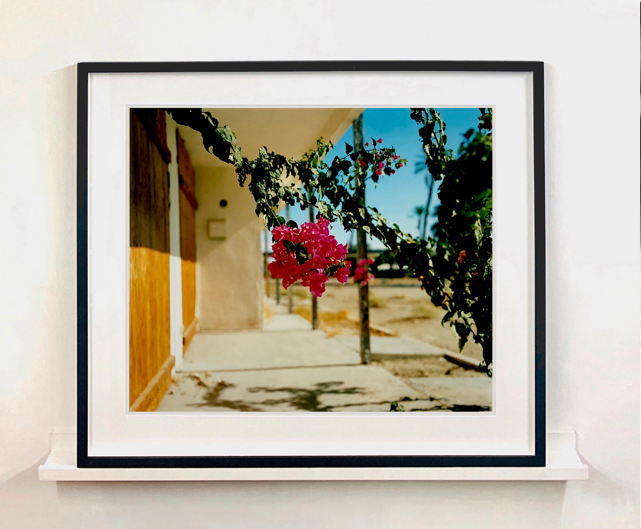 Bougainvillea, North Shore Motel. Floral print photograph from Richard Heeps Salton Sea series.

This artwork is a limited edition of 25, gloss photographic print only. It will be delivered rolled in a box accompanied by a signed and numbered