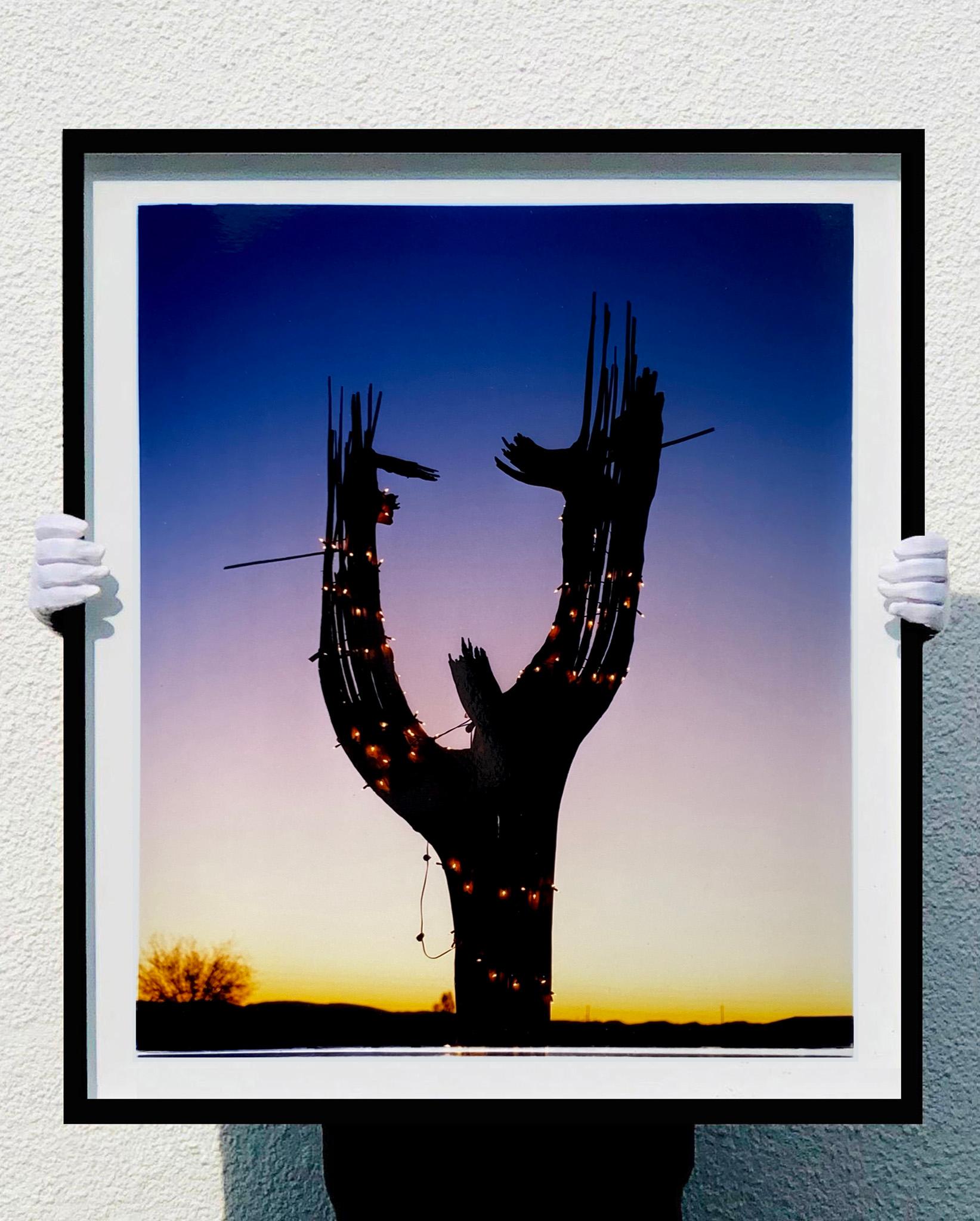 Cactus, Ajo, Arizona - American landscape color photography - Photograph by Richard Heeps