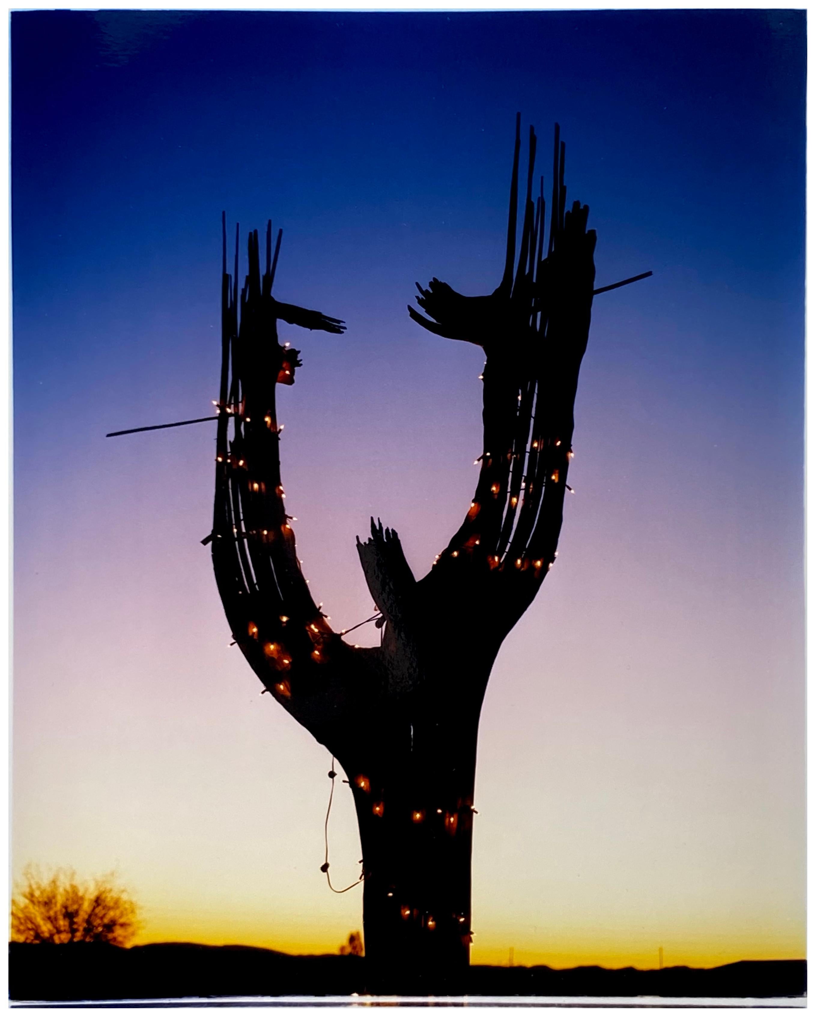 Richard Heeps Color Photograph - Cactus, Ajo, Arizona - American landscape color photography