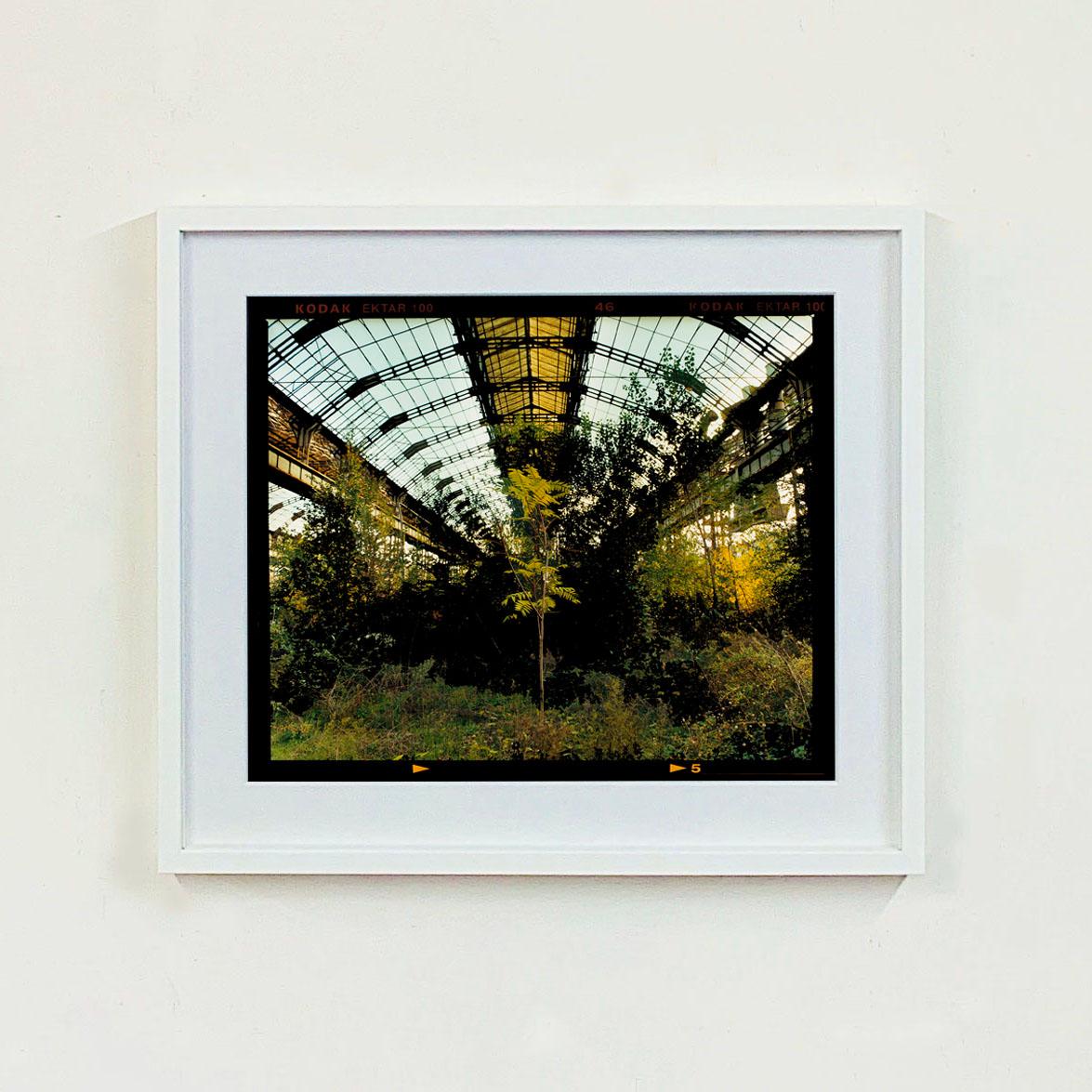 Quatre photographies de nature encadrées en vente 6