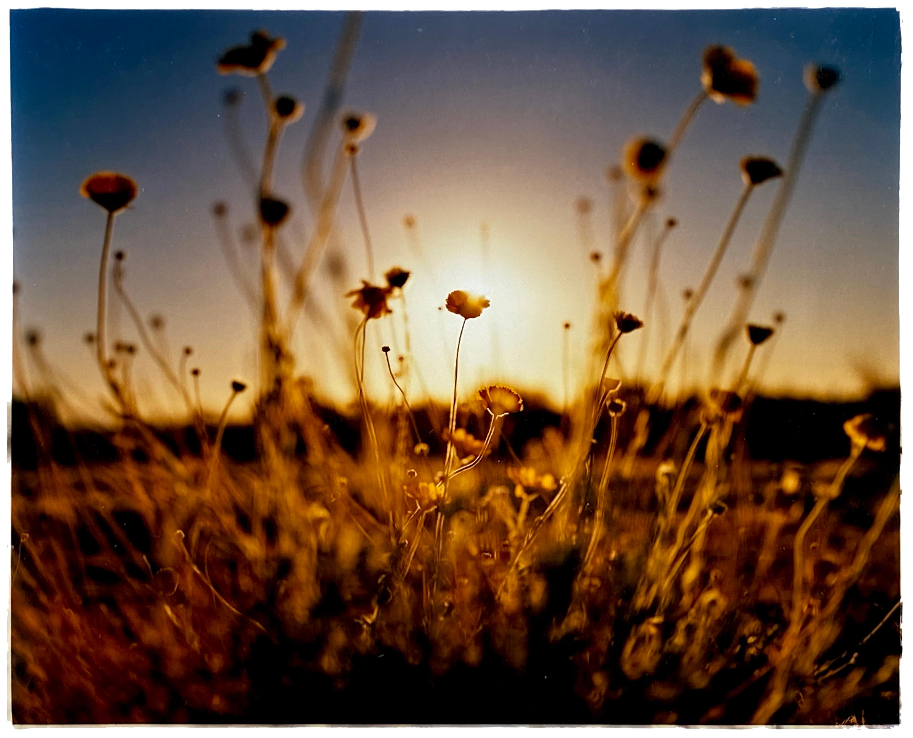 Quatre photographies de nature encadrées - Gris Landscape Photograph par Richard Heeps