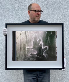 Geese - Welney Wetlands Trust, Cambridgeshire - Monochrome Bird Photography
