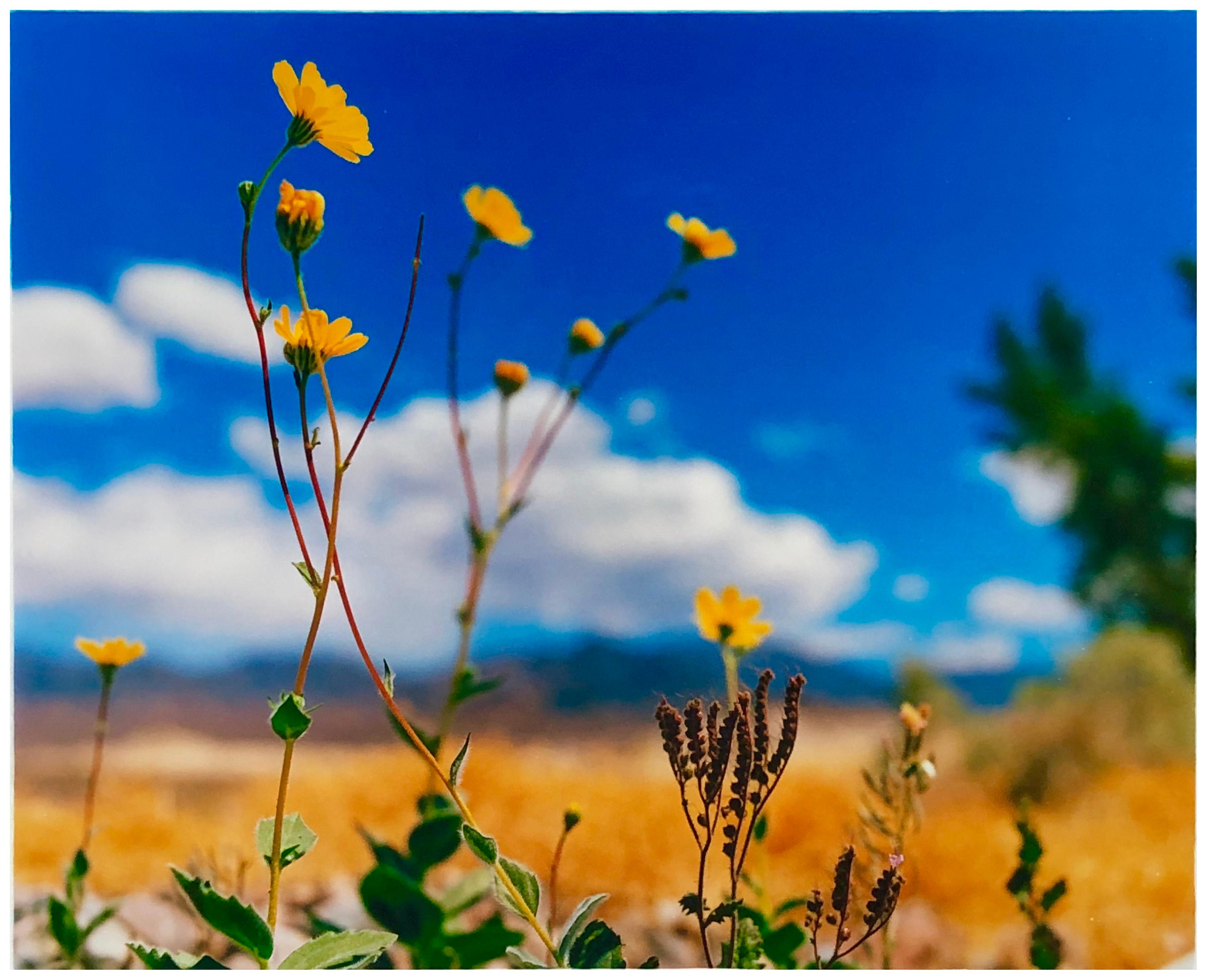 Hell's Gate, Death Valley, California - American Landscape Color Photography