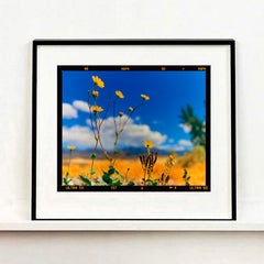 Hell's Gate, Death Valley, California - American Landscape Nature Photograph