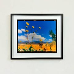 Hell's Gate, Valle della Morte, California - Fotografia di paesaggio americano Nature