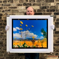 Hell's Gate, Valle della Morte, California - Fotografia di paesaggio americano Nature