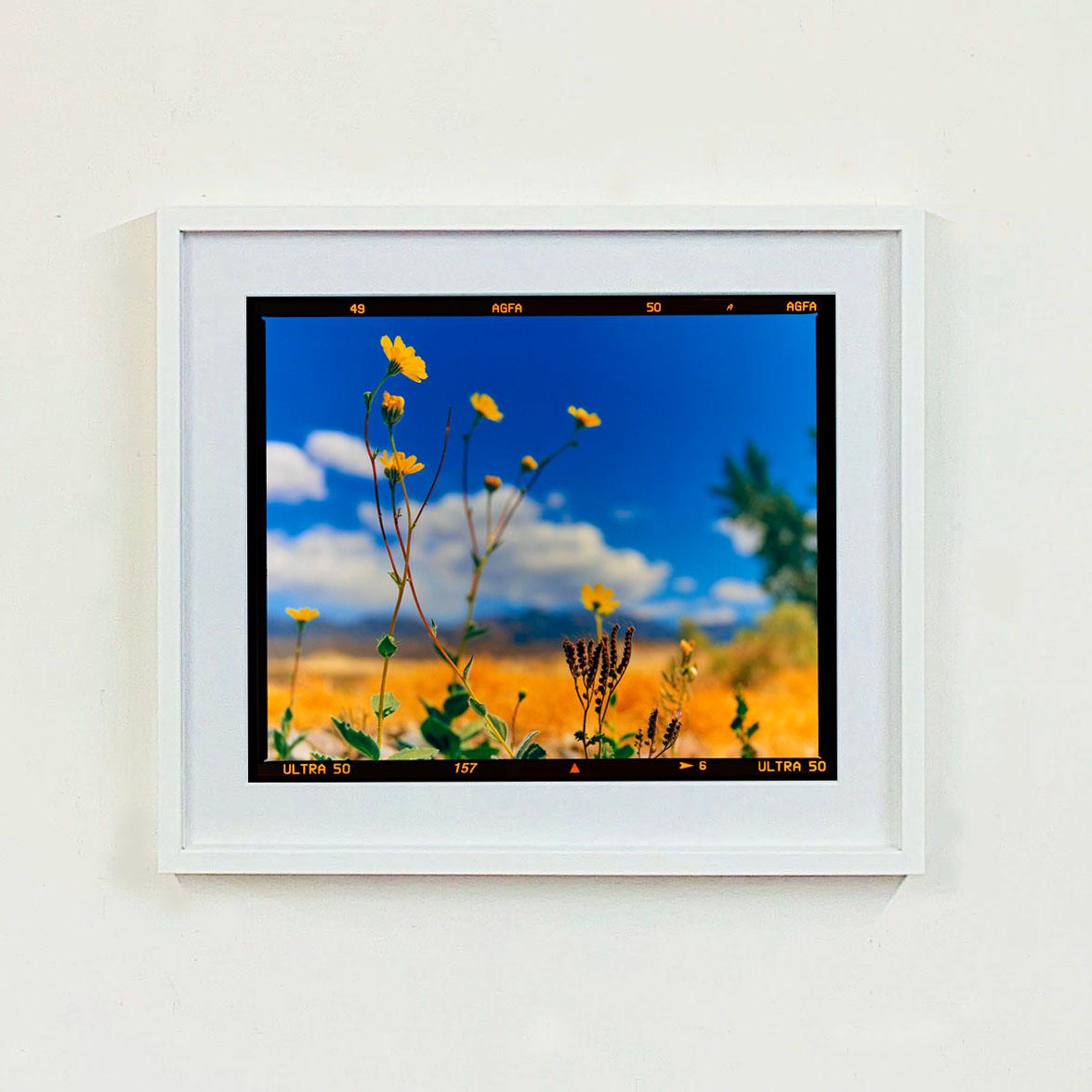Hell's Gate, photographie de paysage américain tirée de la série Dream in Colour de Richard Heeps. Cette belle image lumineuse de la fleur du désert a été prise aux portes de la Vallée de la Mort, peu après la pluie.

Cette œuvre est une édition