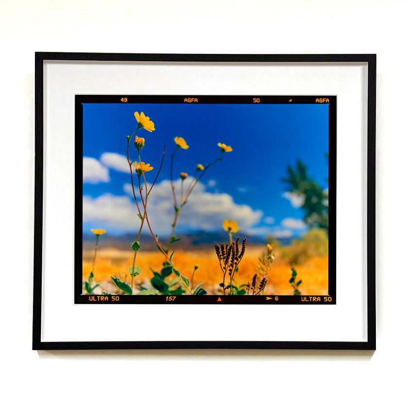 Hell's Gate, American landscape photograph from Richard Heeps' series, Dream in Colour. This beautiful bright capture of the desert flower was taken at the gateway to Death Valley shortly after rainfall.

This artwork is a limited edition of 25