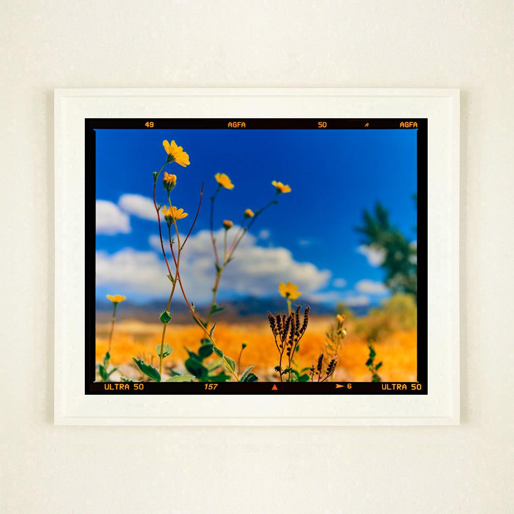 Hell's Gate, Death Valley, Kalifornien - Amerikanische Landschaft Nature Fotografien (Blau), Color Photograph, von Richard Heeps