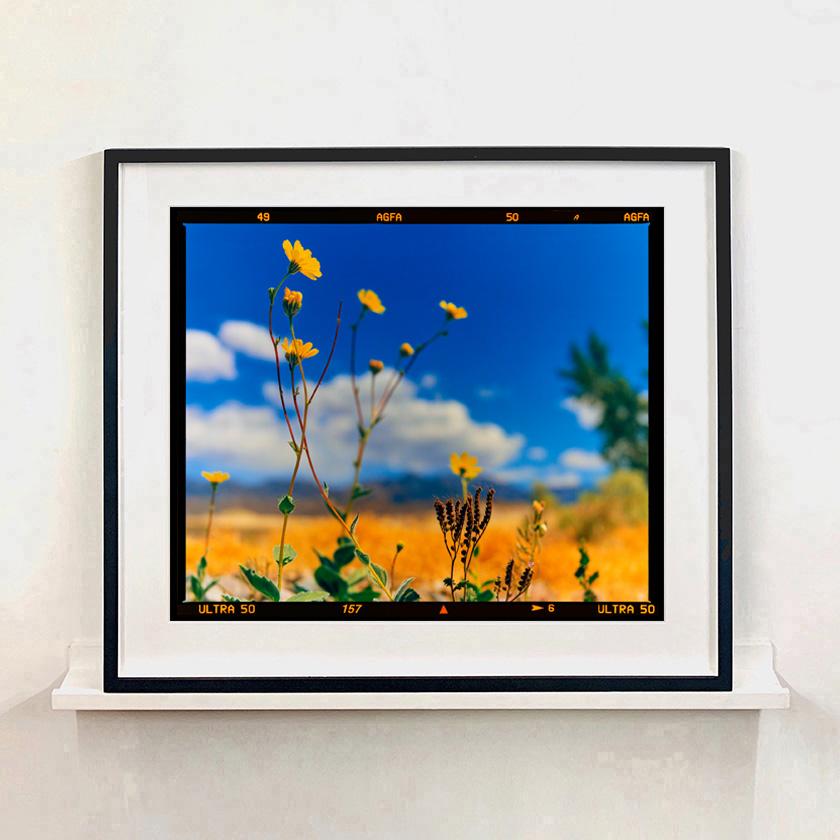 Hell's Gate, Death Valley, Kalifornien - Amerikanische Landschaft Nature Fotografien im Angebot 3