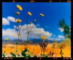 Landscape Photography