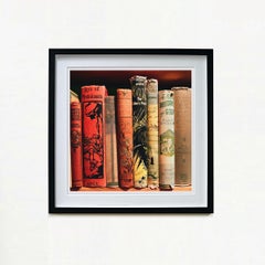 Humpty Dumpty and the Princess, Norfolk - Vintage Book Spines Color Photo