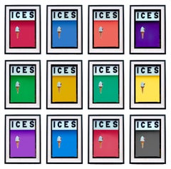 ICES Multicolor Set of 12 Framed Pop Art Photographs