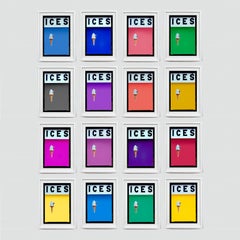 ICES Multicolor Set of Sixteen Framed Colour Photography Artworks