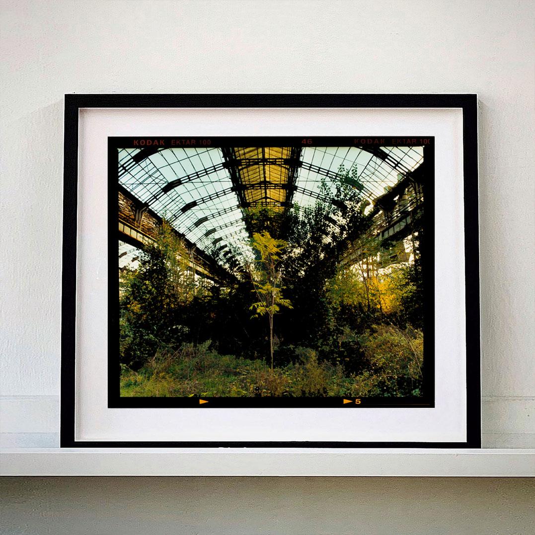 Industrial Jungle, Milan - Italian industrial architecture photography - Print by Richard Heeps