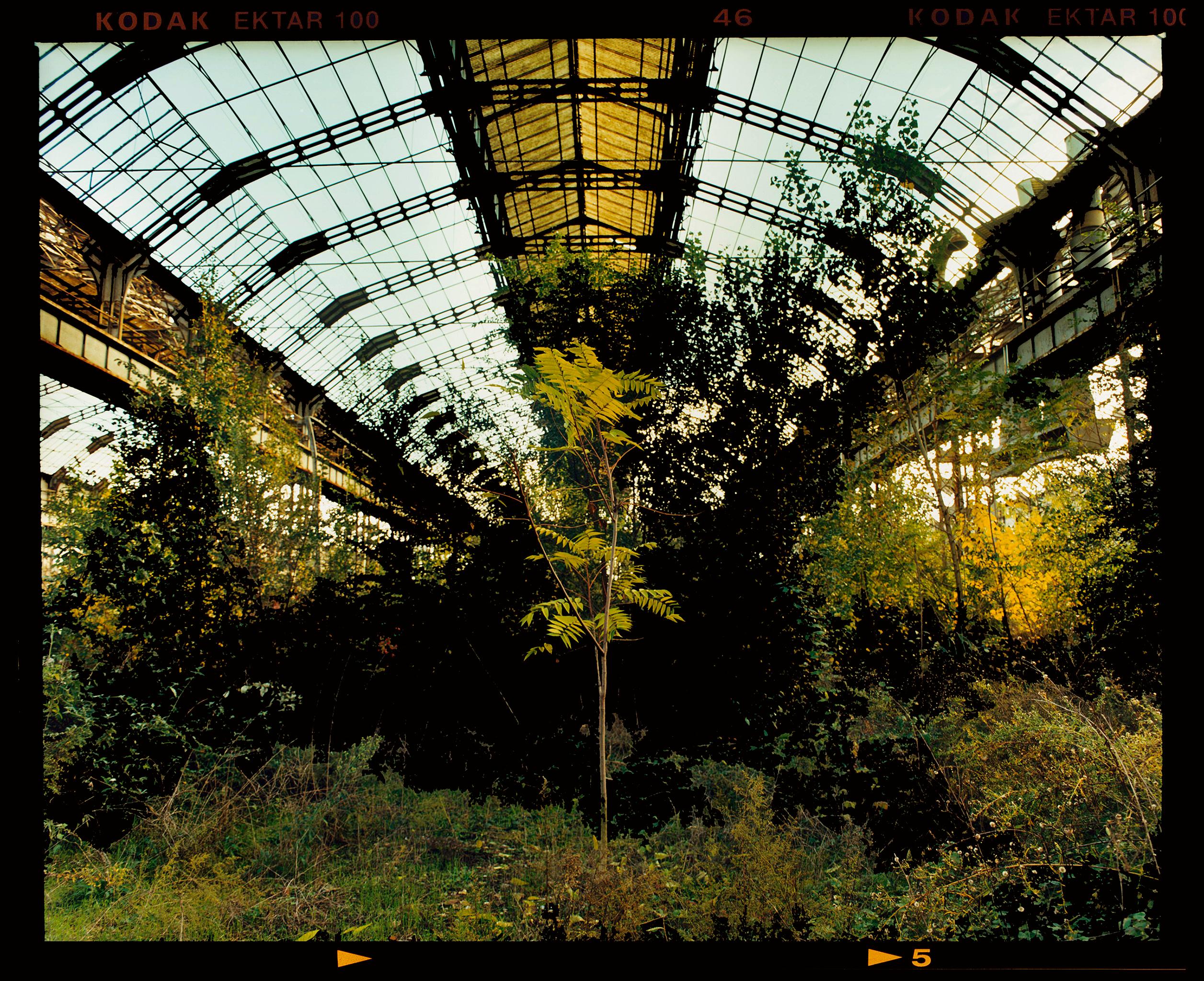 Richard Heeps Print - Industrial Jungle, Milan - Italian industrial architecture photography