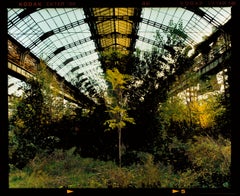 Used Industrial Jungle, Milan - Italian industrial architecture photography