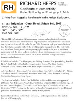 Bewässerung - Garst Road, Salton Sea, Kalifornien - Landschaft, Farbfotografie