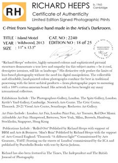 Island Motel, Wildwood, New Jersey - Sunset, American Color Photography