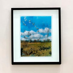 Traces" de Jane Frost, Wicken Fen, Cambridgeshire - photographie de paysage et de nature