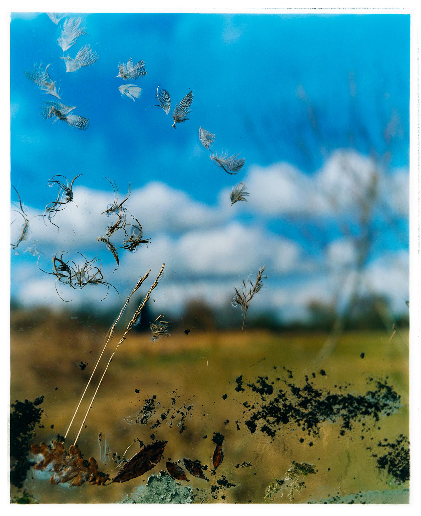 Richard Heeps Landscape Photograph - Jane Frost's 'Traces', Wicken Fen, Cambridgeshire - landscape nature photograph