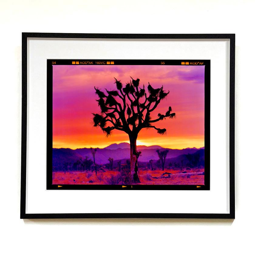 Paysage de l'arbre de Joshua, désert de Mojave, Californie - Photographie de paysage américain - Rose Color Photograph par Richard Heeps