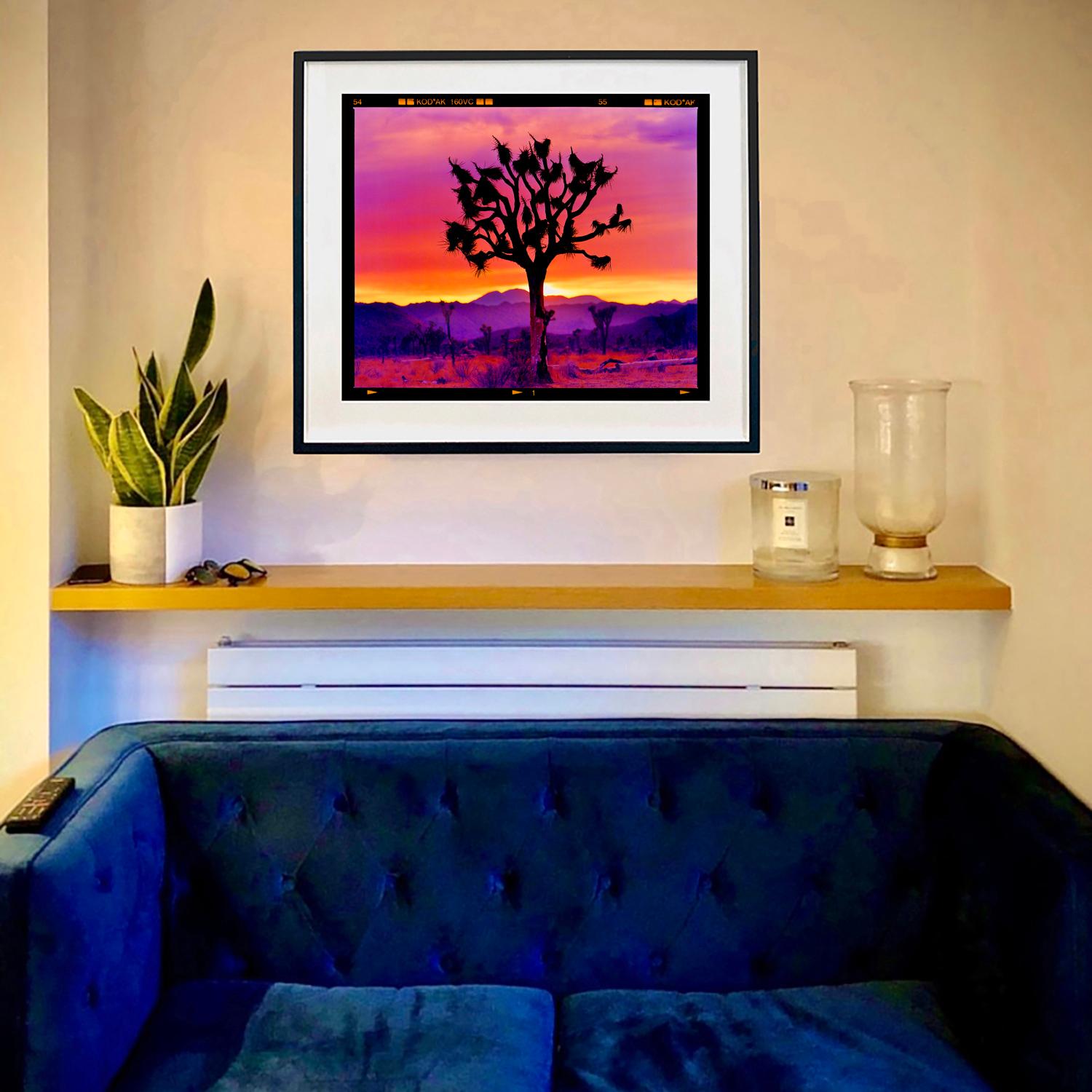Photographie du paysage du désert américain de Joshua Tree, tirée de la série Dream in Colour de Richard Heeps. L'emblématique arbre de Joshua se dresse fièrement en silhouette sur les riches teintes magiques du ciel du désert au coucher du