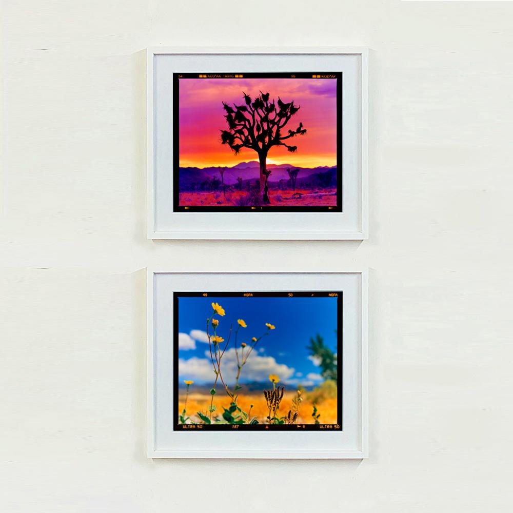 Paysage de l'arbre de Joshua, désert de Mojave, Californie - Photographie de paysage américain en vente 1