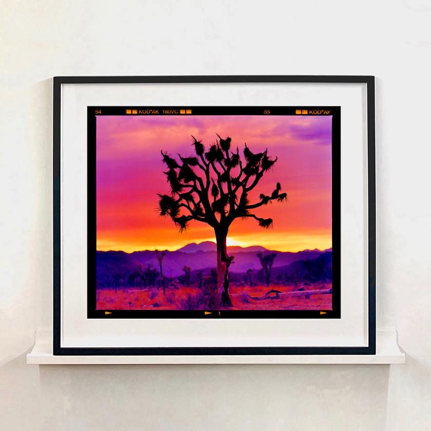 Paysage de l'arbre de Joshua, désert de Mojave, Californie - Photographie de paysage américain en vente 4