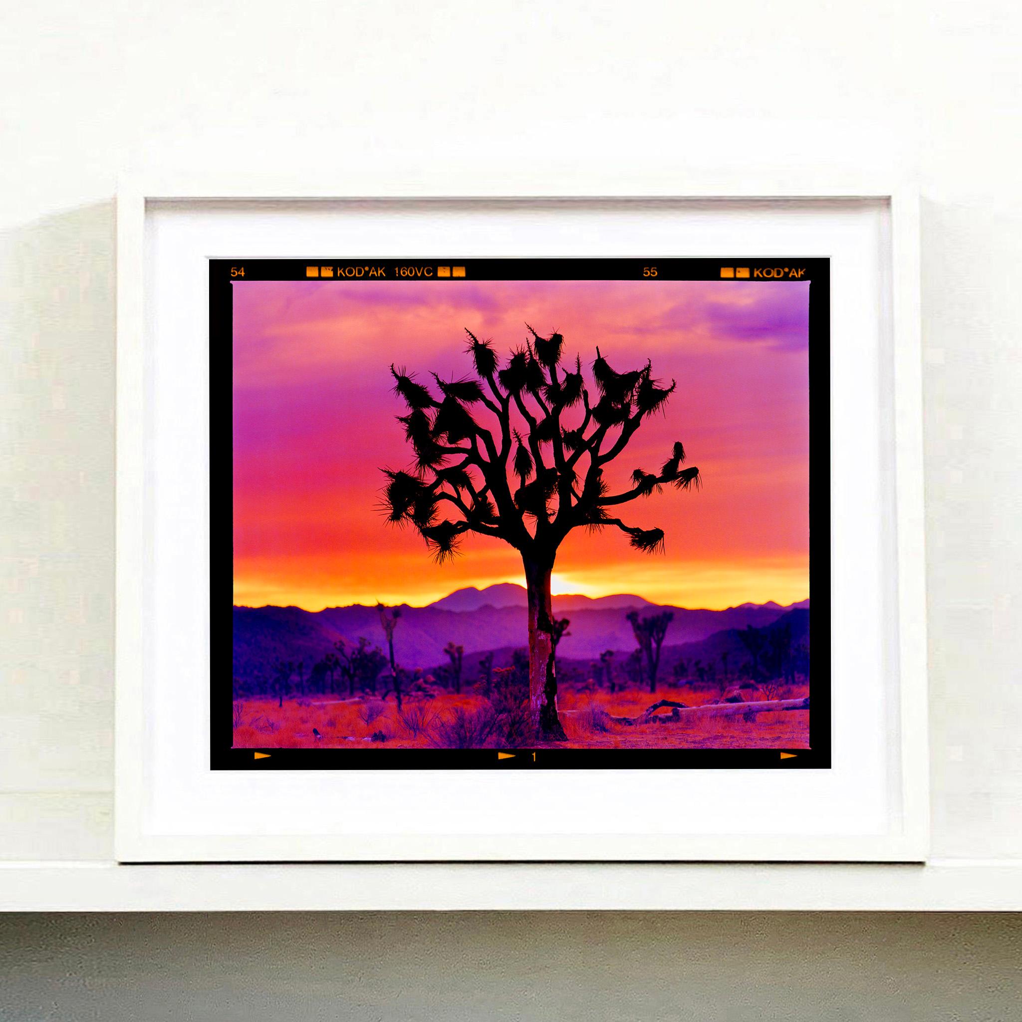 Paysage de l'arbre de Joshua, désert de Mojave, Californie - Photographie de paysage américain en vente 5