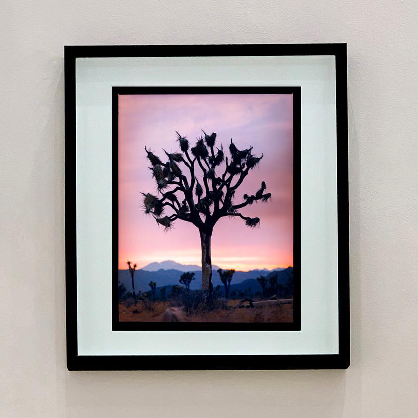 Joshua Tree, Mojave-Wüste, Kalifornien – amerikanische Landschaftsfotografie – Photograph von Richard Heeps