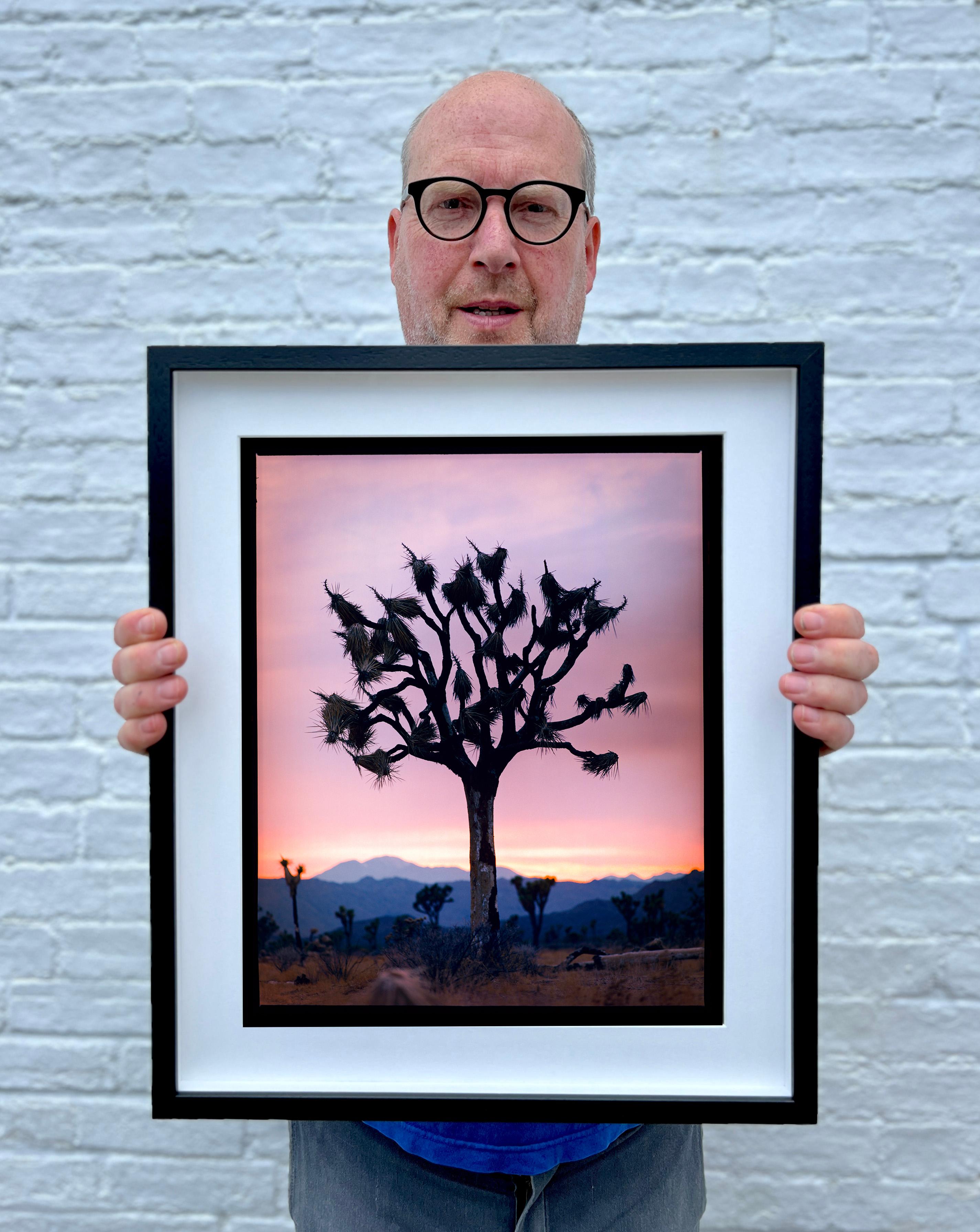 El Parque Nacional de Joshua Tree es un paisaje rural muy interesante, que se hizo famoso por su popularidad en la cultura pop. Aquí, el Árbol de Josué capturado en el desierto de Mojave al atardecer mientras Richard Heeps fotografiaba su serie