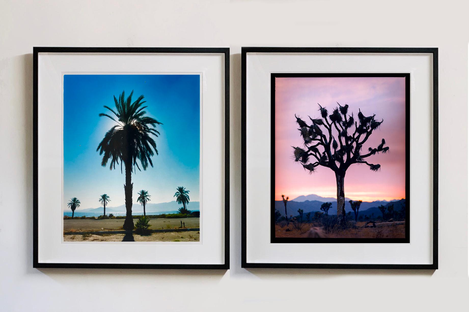 El Parque Nacional de Joshua Tree es un paisaje rural muy interesante, que se hizo famoso por su popularidad en la cultura pop. Aquí, el Árbol de Josué capturado en el desierto de Mojave al atardecer mientras Richard Heeps fotografiaba su serie